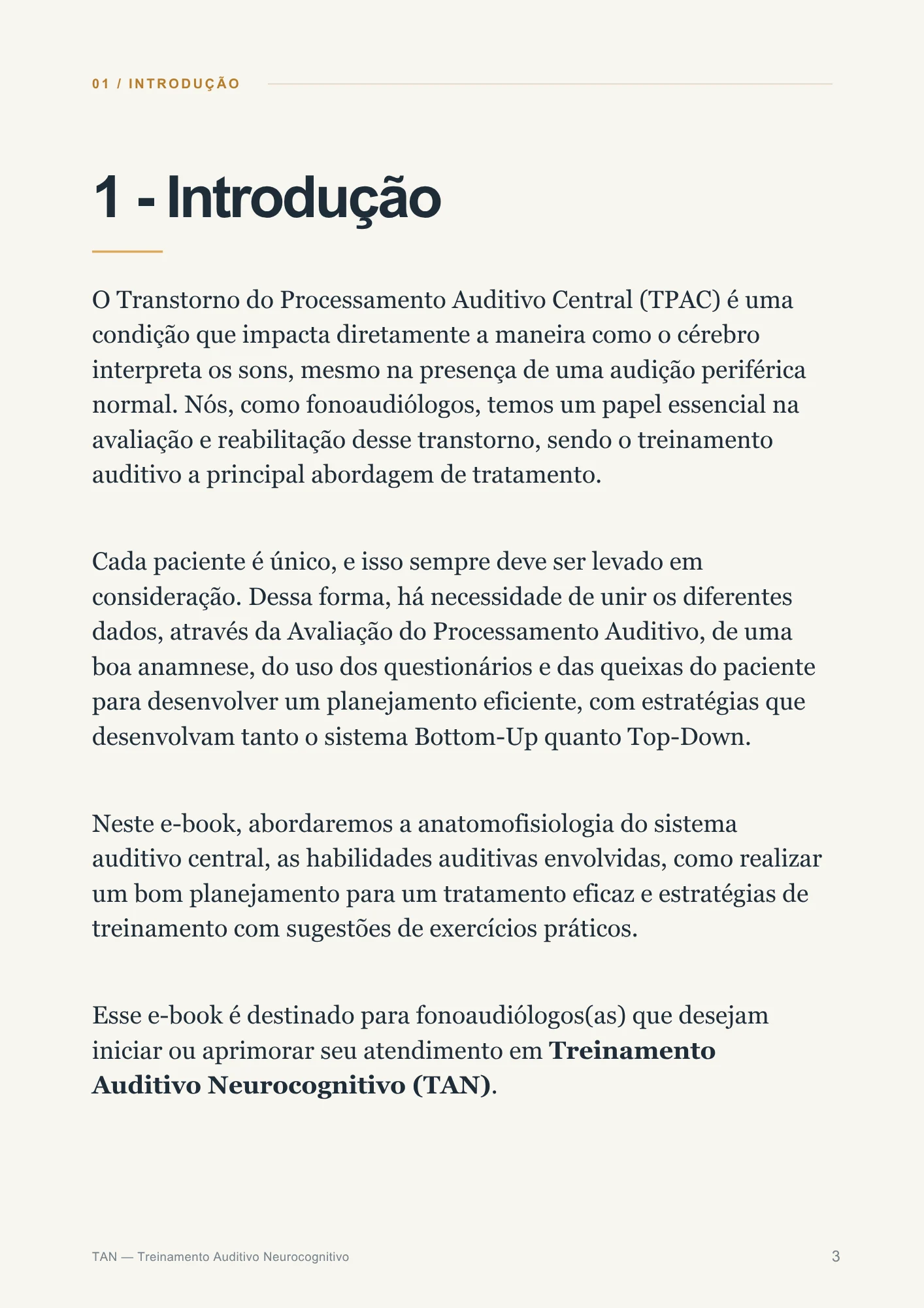 Página 3: introdução ao Treinamento Auditivo Neurocognitivo