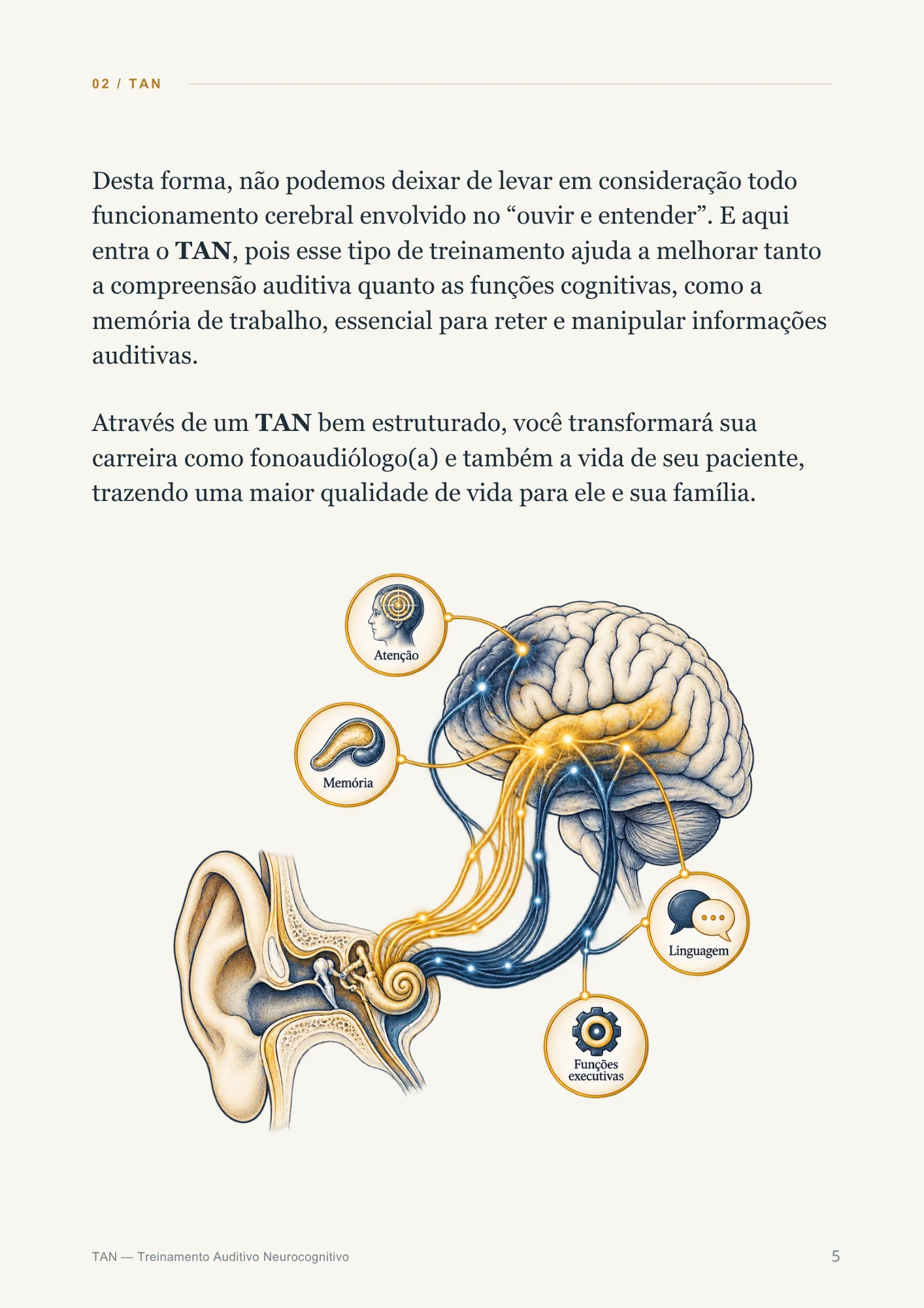 Página 5: audição e cognição no TAN